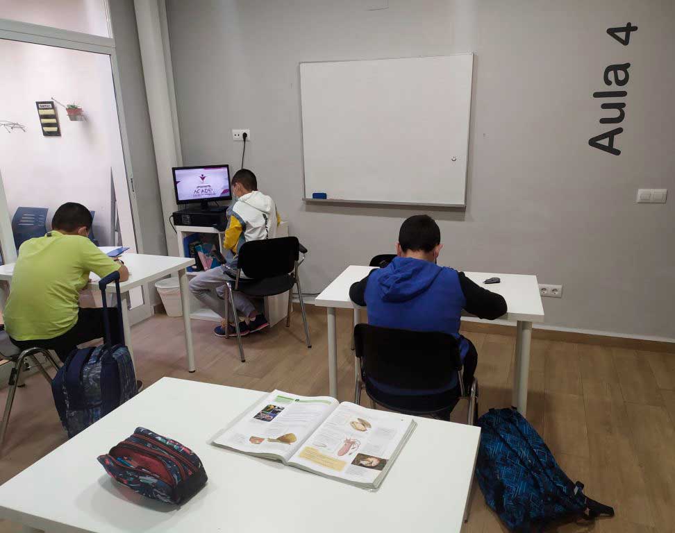alumnos primaria