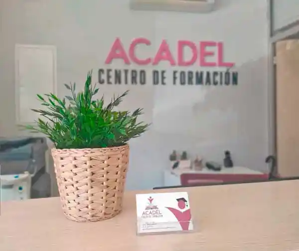 acadel-detalle Planta de decoración y tarjeta en Acadel